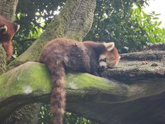 -贵州森林野生动物园
