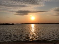 -丁香湖公园