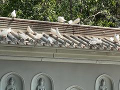 -清真·老兰家(兴善寺西街总店)