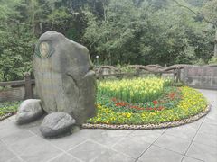 -青城山
