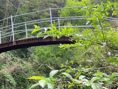 -宁波浙东大竹海景区