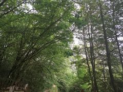 -老君山