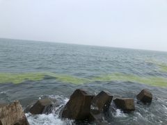 -青岛第二海水浴场