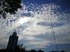 -中国国际会展中心-马甸购物街