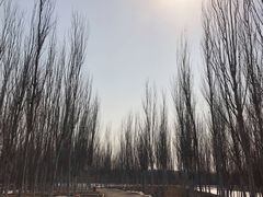 -东郊湿地公园