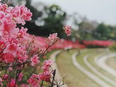 -老门东历史文化街区