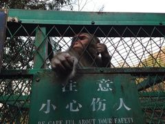 iphone_upload_pic-藏龙百瀑风景区