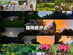 -晓港公园