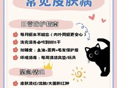 -瑞鹏宠物医院•异宠•宠保定点•流浪定点救助宠物医院(青祁店)