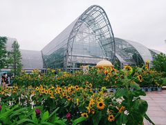 -南山植物园