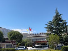 -西藏自治区图书馆