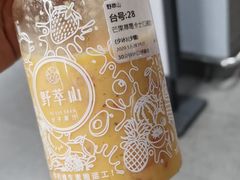 -野萃山·潮汕厚果汁(十亩地店)