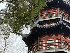 -上海佘山国家森林公园西佘山园