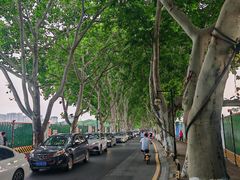 -李公堤