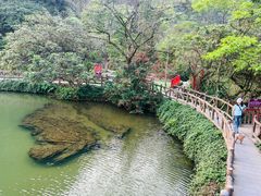 -靖西鹅泉风景区