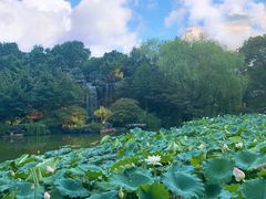 -杭州西子湖四季酒店·金沙厅