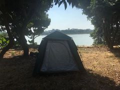 -鹤之洲湿地公园