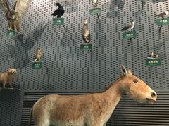 -中国湿地博物馆