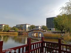 -西海子公园