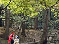 -醍醐寺
