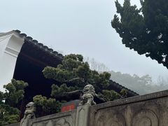 -普陀山风景名胜区-法雨禅寺