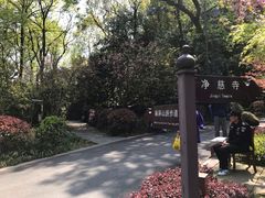 -九曜山