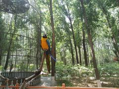 -北京野生动物园