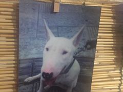 -獨門烤肉(开发区店)