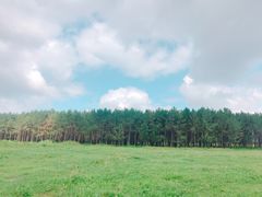 -乌兰布统草原