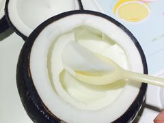 -志龙皇冠吃货椰子铺