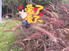 -南丹山森林王国