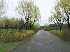 android_upload_pic-蜀冈西峰生态公园