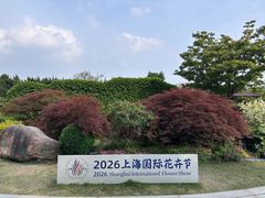 -嘉定紫藤园