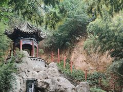 -西安曲江寒窑遗址公园