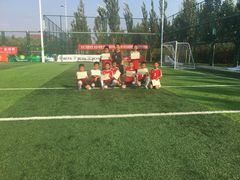 -中关村软件园智云足球场