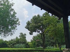 -长广溪湿地公园