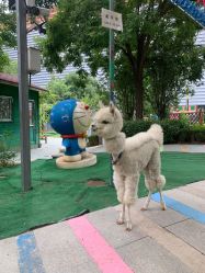 -萌宠亲子动物乐园(槐房万达店)