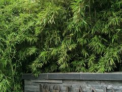 -环球188广场
