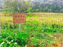 -嵩山少林文化旅游景区