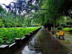 -四川大学(江安校区)