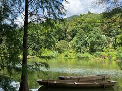 -深圳仙湖植物园