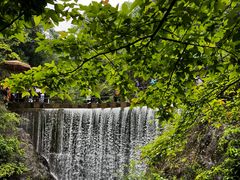 -大奇山国家森林公园