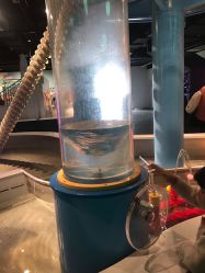 -北京科学中心儿童乐园