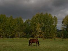 -北极村旅游风景区