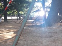 -上海市龙华烈士陵园