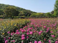-龙寺生态园