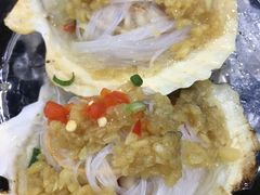 扇贝-老虎滩大连海鲜烧烤(建邺云锦路总店)