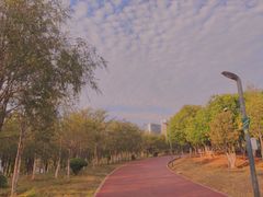-安宁市宁湖森林公园