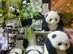 -轩客会(熊猫书店)