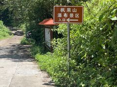 -海南热带雨林国家公园吊罗山景区